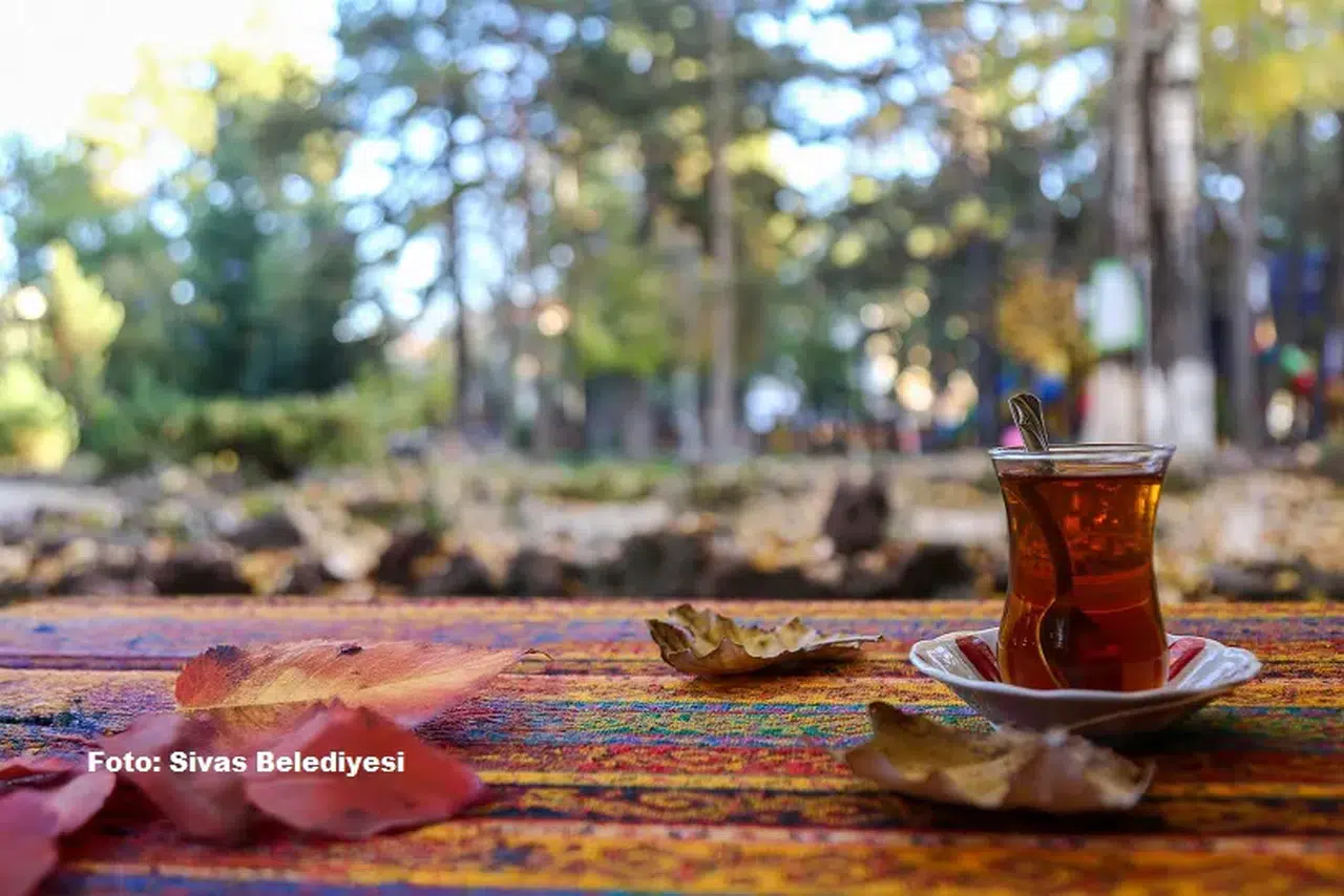 Sivas'ı göz kamaştıran sonbahar renkleri sardı