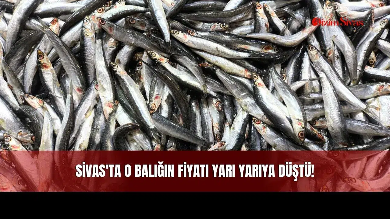 Sivas'ta O Balığın Fiyatı Yarı Yarıya Düştü!