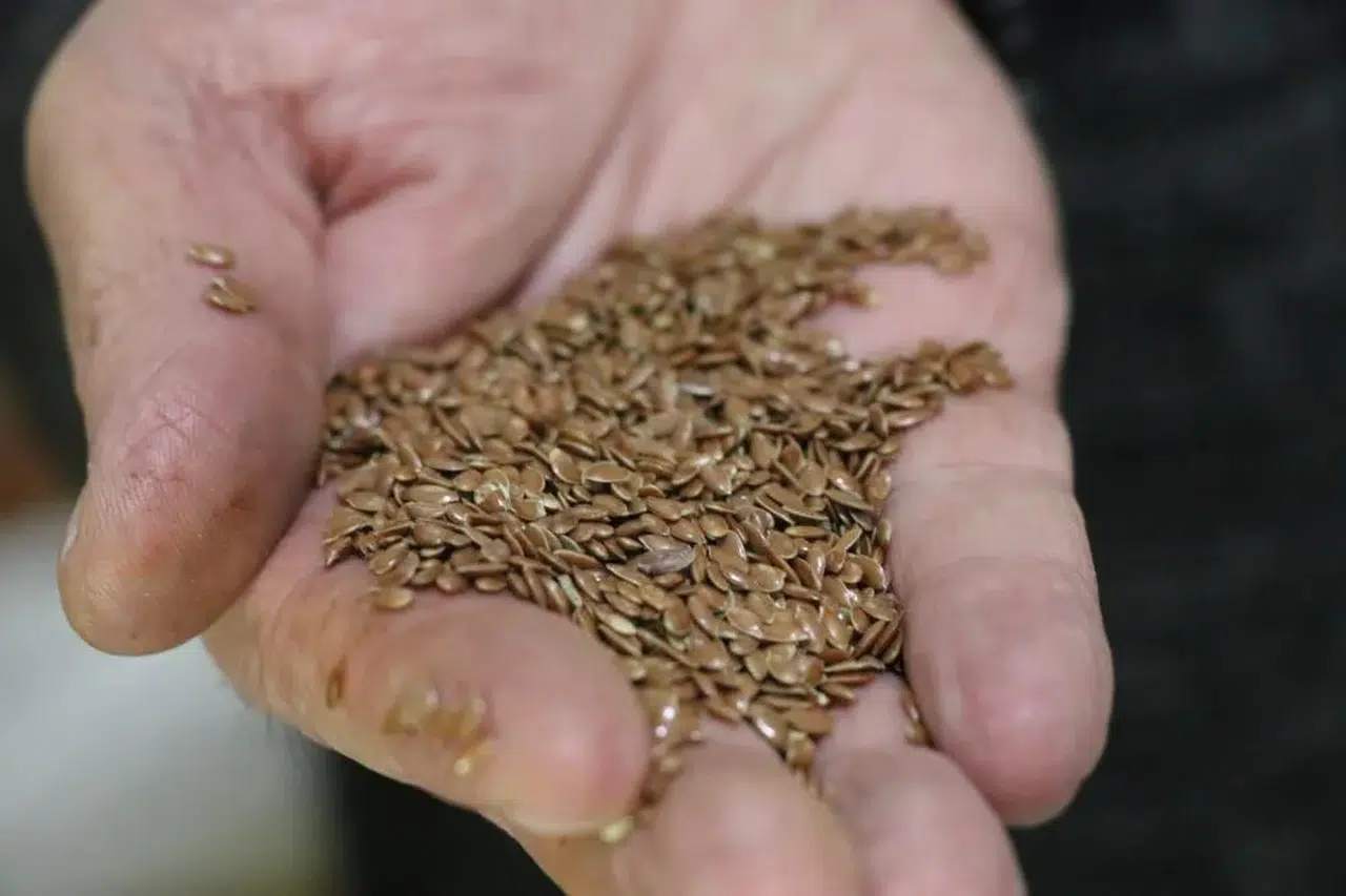 Sivas'tan Gelen Şifa! Kalp Sağlığına Faydaları Saymakla Bitmiyor