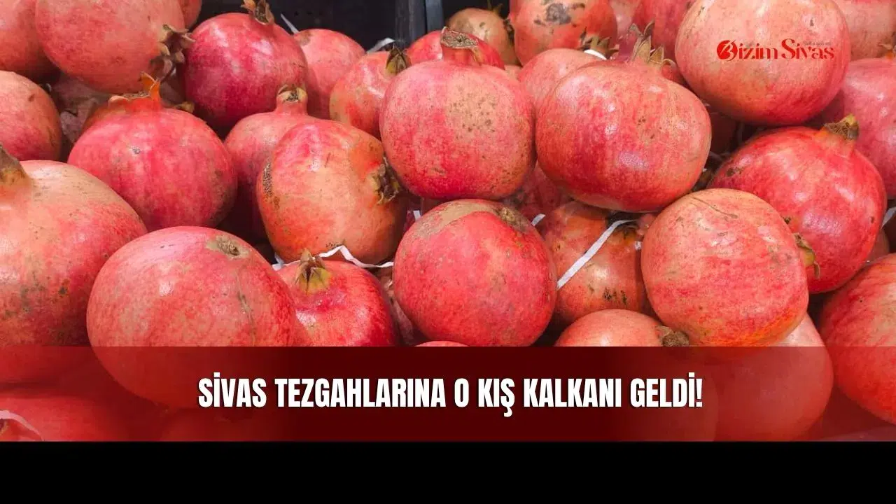 Sivas Tezgahlarına O Kış Kalkanı Geldi!