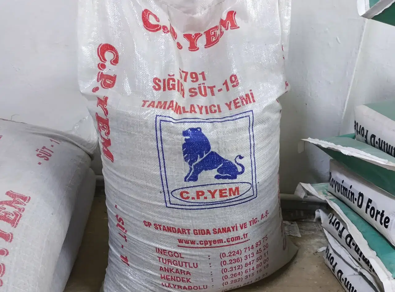 Yem fiyatları tırmanışta! Sivaslı çiftçi kışı nasıl atlatacak?