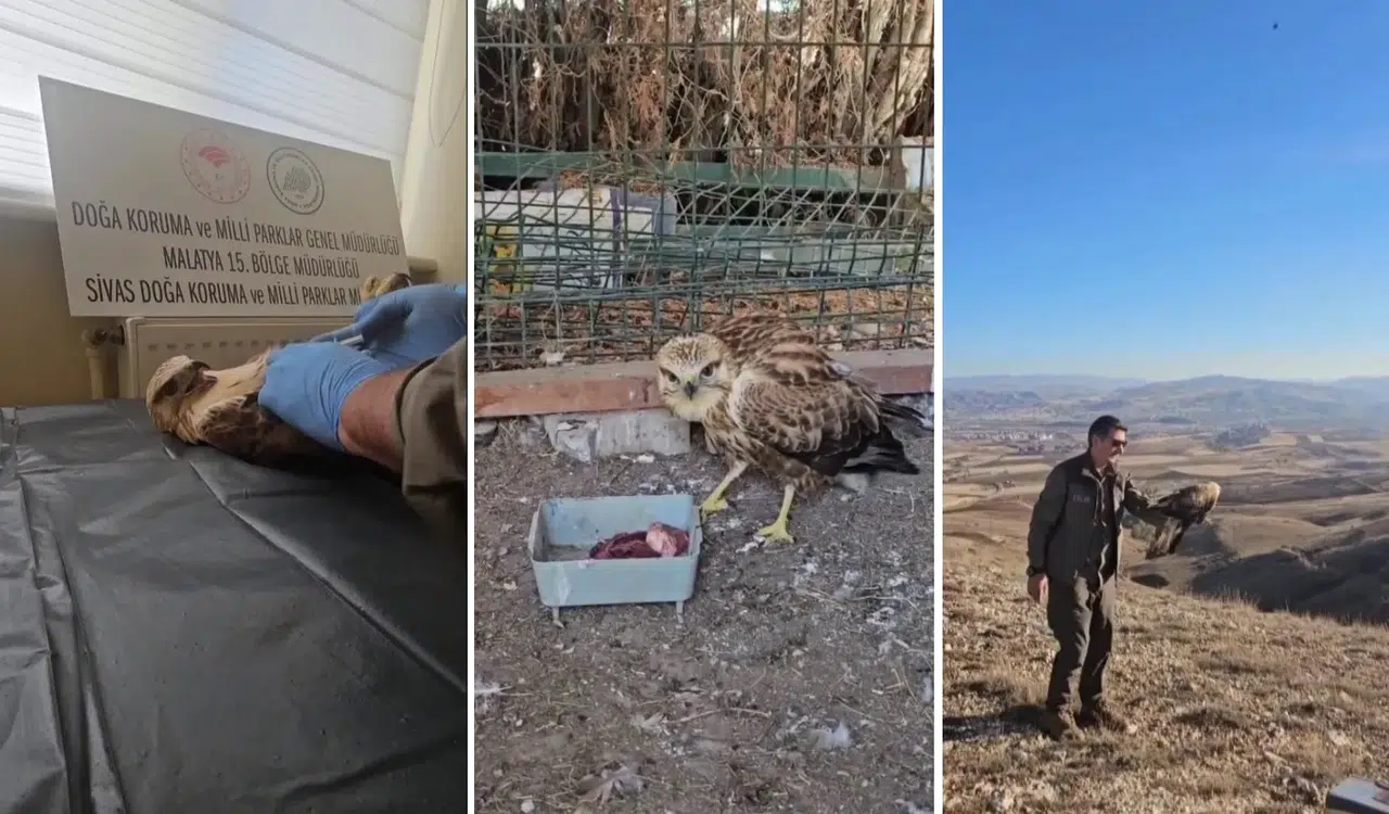 Sivas'ta küçük bir dokunuş, büyük bir özgürlük