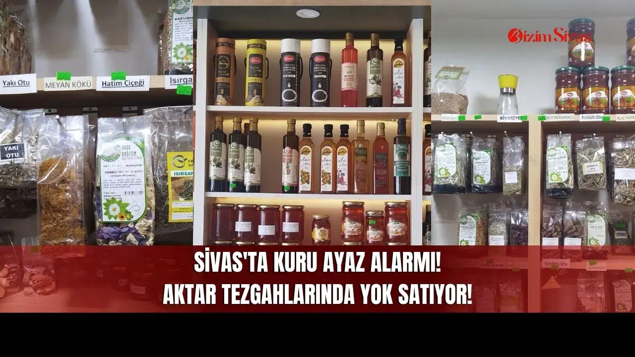 Sivas'ta Kuru Ayaz Alarmı! Aktar Tezgahlarında Yok Satıyor!