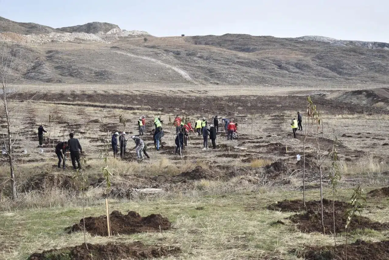 Sivas'taki Sanayi Bölgesinde Yeşil Devrim Yaşanıyor!