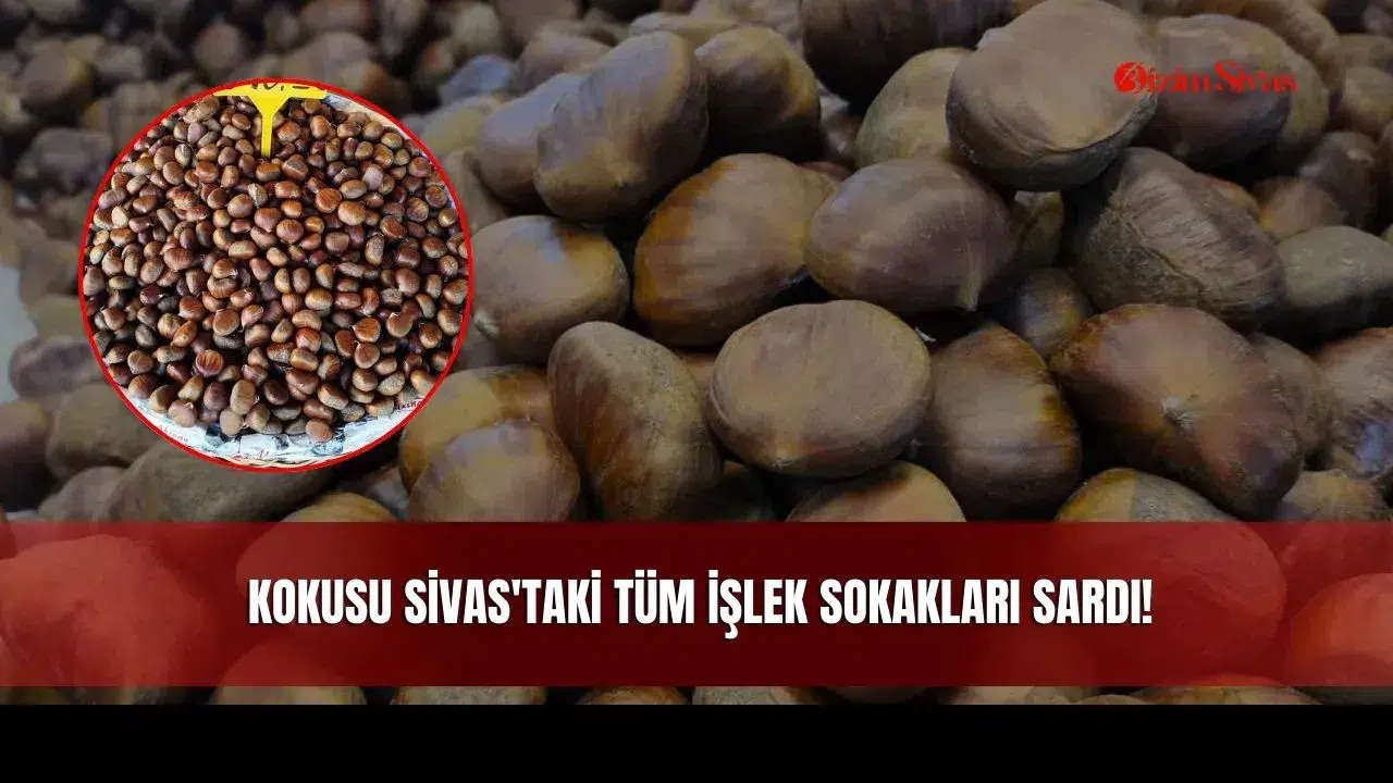 Kokusu Sivas'taki Tüm İşlek Sokakları Sardı!
