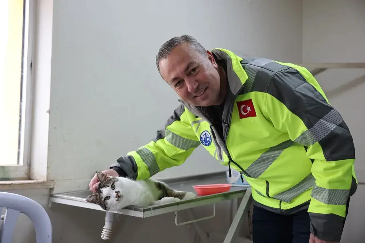 Sivas'ın dışında değil kalbinde hayvanlara yeni yaşam alanı