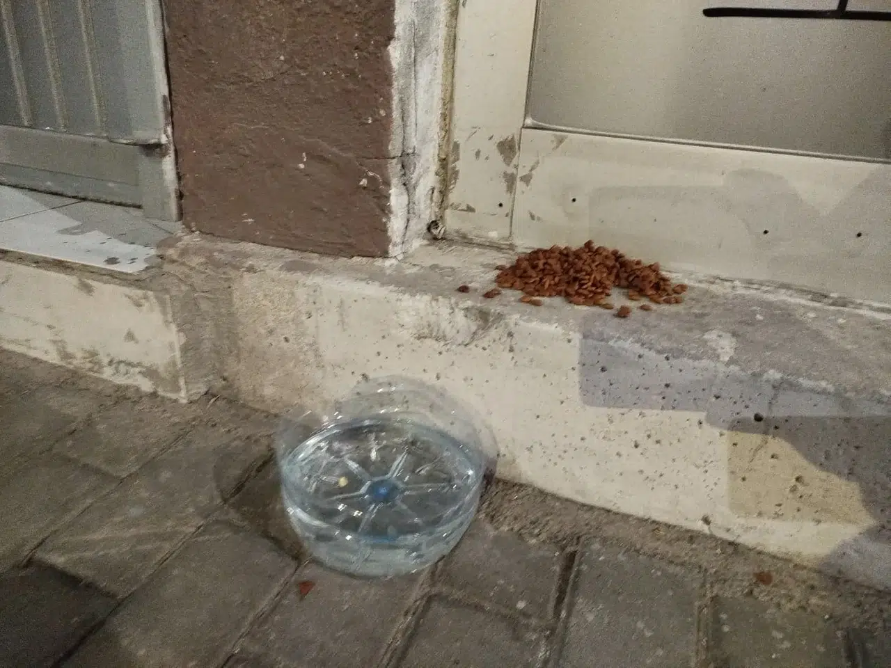 Sivas'ta Soğuklara İnat Yürek Isıtan Bir Direniş Başladı