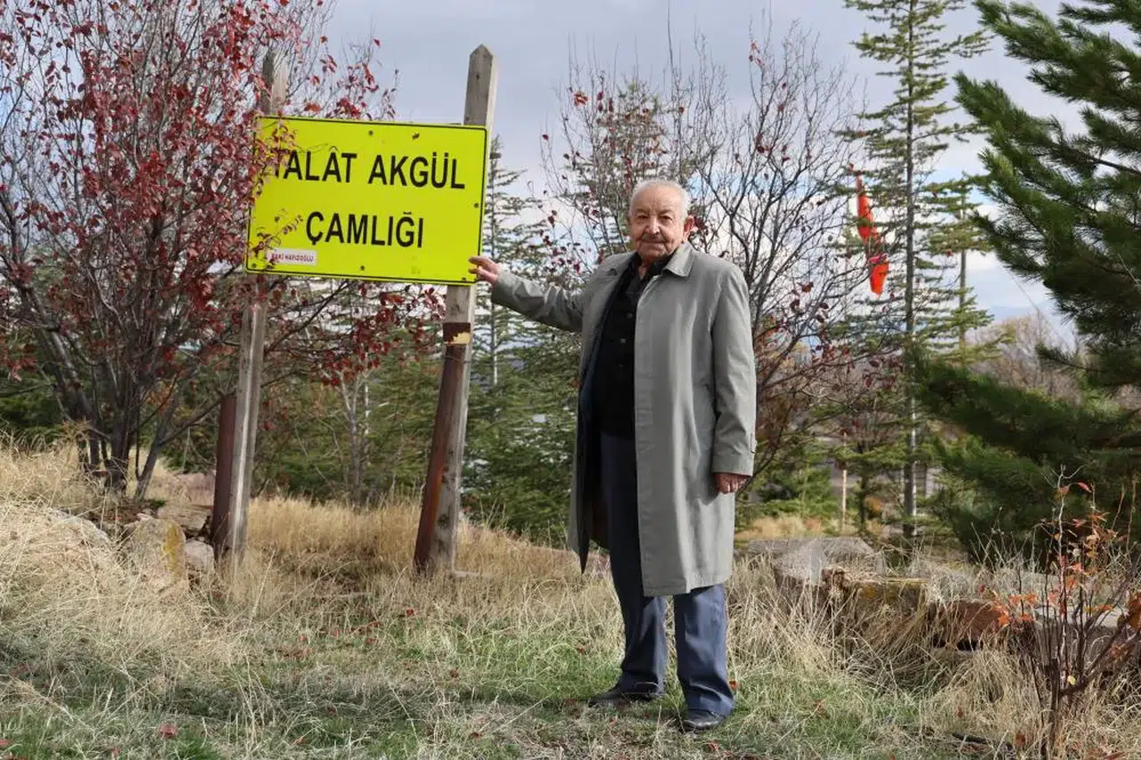 Sivas'ta 5 fidanla başlayan serüven 3 bin ağaca ulaştı