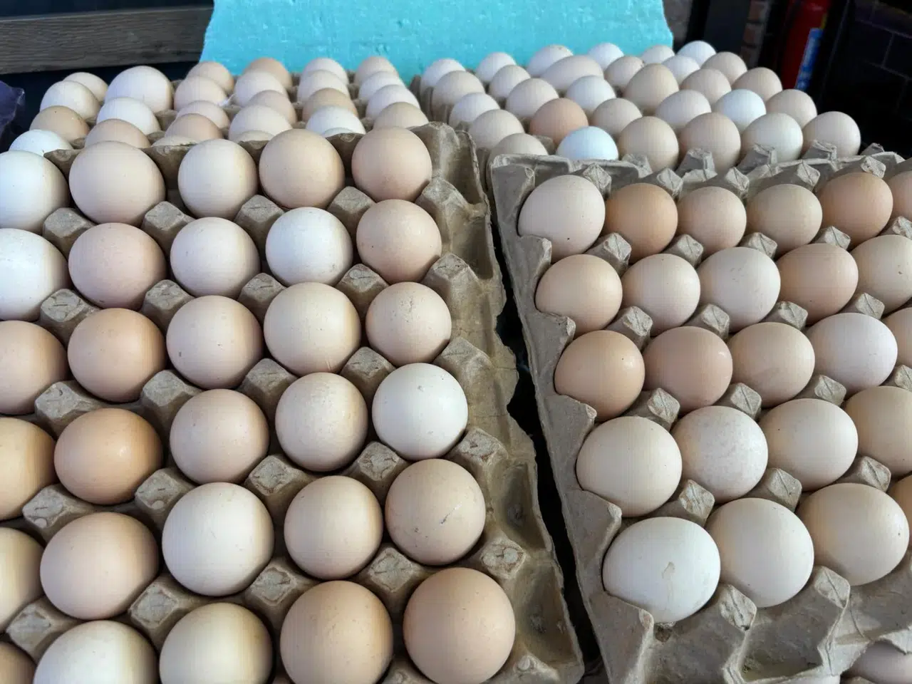 Yerel Üretici Direniyor, İthal Ürünler Yükselişte!