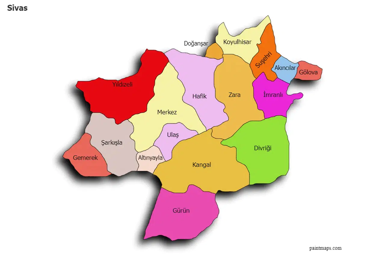 Aslan Payı Yıldızeli'ne Düştü! Hangi İlçe Ne Kadar Pay Aldı?