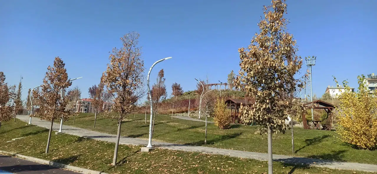 Sivas’ta Parklarda Neler Oluyor?