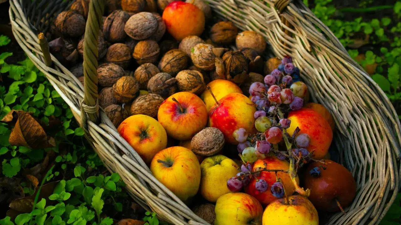 Uykusuzluk Çekenlere Diyetisyen Reçetesi! İlaç Değil, Bu Meyveyi Yiyin!