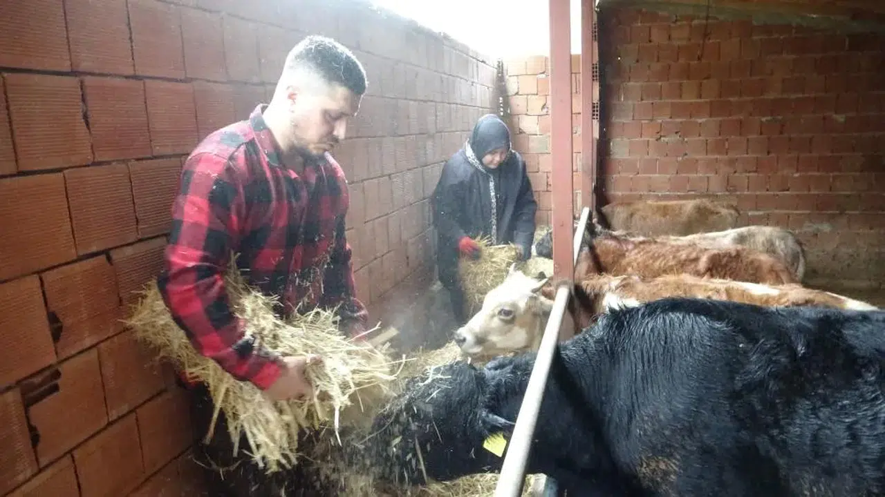 Robot Olmaktansa Çoban Olurum Dedi ve Döndü