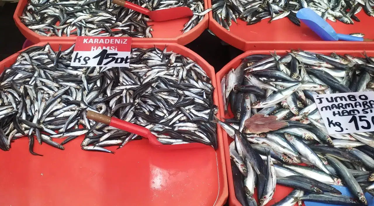 Karadeniz'de 50, Sivas'ta 150 TL!Nakliye ve Lojistik Hamsiyi Sivas'ta Lüks Yaptı