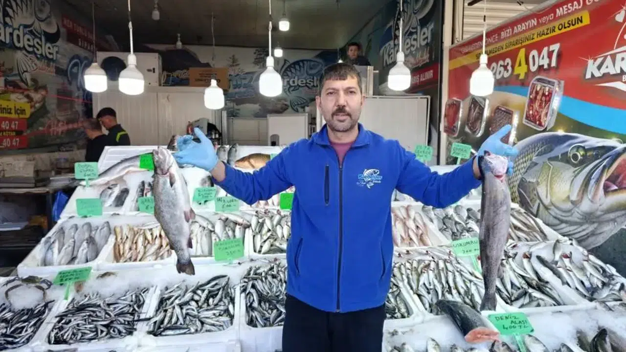 Günde Tonlarca Tüketiliyor, Balıkçılar Yoğun Mesai Yapıyor