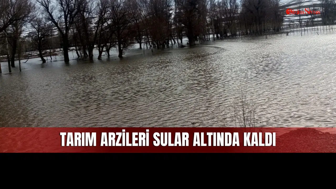 Sivas Yıldızeli'nde Taşan Çay ve Eriyen Kar Suları Tarın Arazilerini Sular Altında Bıraktı!