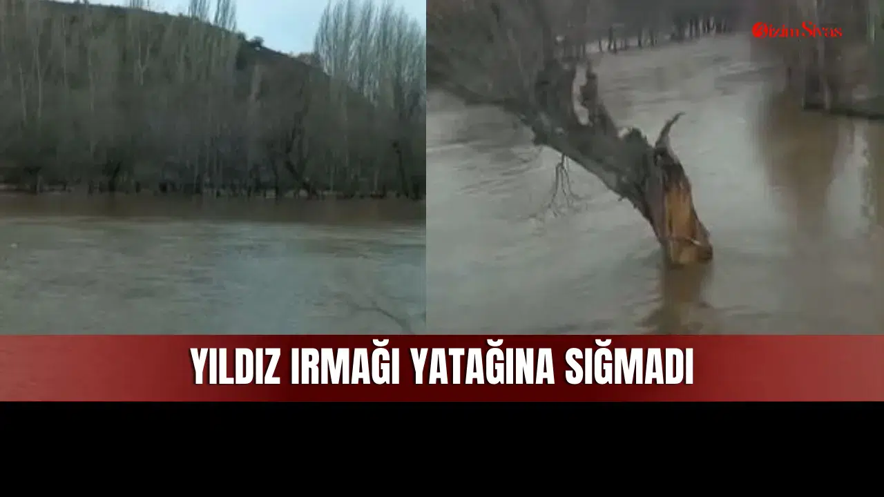 Sivas'taki Yıldız Irmağı Yatağına Sığmadı! Zengi Köyü Arazileri Sular Altında Kaldı!