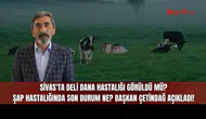 Sivas'ta Deli Dana Hastalığı Görüldü mü? Şap Hastalığında Son Durum Ne? Başkan Çetindağ Açıkladı!