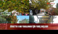 Sivas'ta O Anı Yakalamak İçin Yarış Başladı!