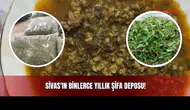 Sivas'ın Binlerce Yıllık Şifa Deposu!