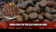 Kokusu Sivas'taki Tüm İşlek Sokakları Sardı!