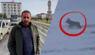 Sivas'ta Vahşi Doğanın Gerçek Yüzü! O Anları Kaydederken Eli Ayağı Titredi