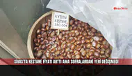 Sivas’ta kestane fiyatı arttı ama sofralardaki yeri değişmedi