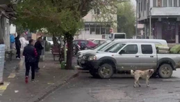 İmranlı'ya kar yağdı