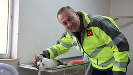 Sivas'ın dışında değil kalbinde hayvanlara yeni yaşam alanı