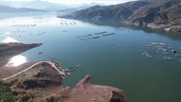 Denizsiz Bölgenin İhracat Başarısı! Barajdan Çıkan Somon