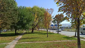 Sivas’ta Sonbahar Rüzgârı Parklarda Renk Cümbüşü Başladı