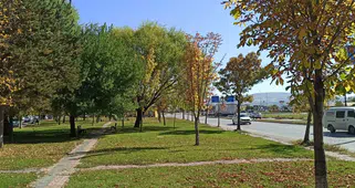 Sivas’ta Sonbahar Rüzgârı Parklarda Renk Cümbüşü Başladı