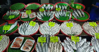 Sivaslılar Kışın Şifayı Balıkta Buldu!