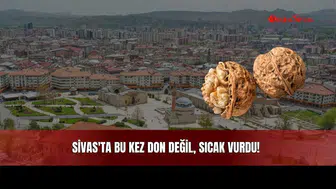 Sivas'ta Bu Kez Don Değil, Sıcak Vurdu!