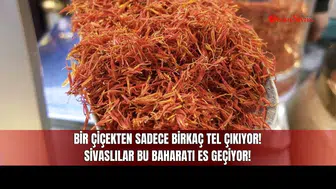Bir Çiçekten Sadece Birkaç Tel Çıkıyor! Sivaslılar Bu Baharatı Es Geçiyor!