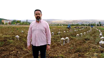 Sivas üniversitesindeki patatesler sadece karın doyurmuyor