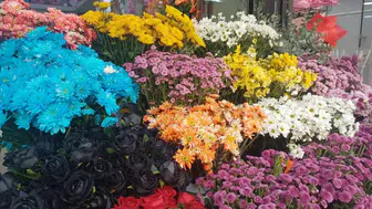 Kış soğuğu çiçekleri vuruyor: Uzmanından Evde kritik uyarılar