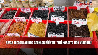 Sivas Tezgahlarında Stoklar Bitiyor! Yeni Hasatta Don Vurgunu!