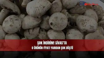 Şok İndirim! Sivas'ta O Ürünün Fiyatı Yarıdan Çok Düştü
