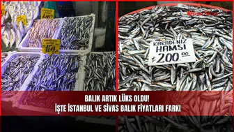 Balık Artık Lüks Oldu! İşte İstanbul ve Sivas Balık Fiyatları Farkı