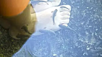 Yurt Dışından Bile Akın Ediyorlar! Sivas’ın Şifalı Mucizesi