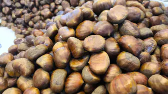 Kışın Vazgeçilmezi Kestane, Sivas’ta Fiyatıyla Şaşırttı!