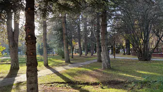 Güneş Aldatmasın, Ayaz Kapıda! Sivas'ın O Meşhur Kuru Soğuğu Başladı!