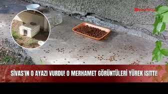 Sivas'ın O Ayazı Vurdu! O Merhamet Görüntüleri Yürek Isıttı!