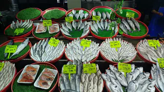 Sivaslılar Kışın Şifayı Balıkta Buldu!