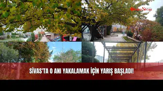 Sivas'ta O Anı Yakalamak İçin Yarış Başladı!