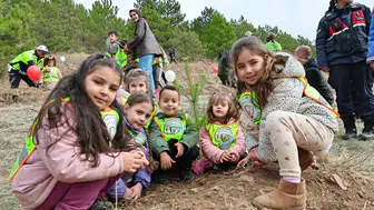 Sivas’ta 90 bin umut kök saldı