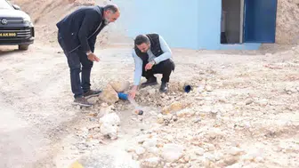 Yılan Hikayesine Dönen Sorun Nihayet Çözüldü!