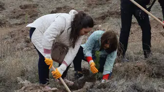 Sivas Muhsin Yazıcıoğlu Vefa Ormanı’nda yeşeren 58 bin can