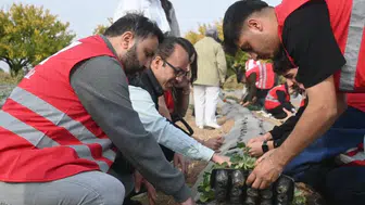 O İlçelerde Çilek Bahçesi Kurulumu Hibe Edildi: İşte Detaylar